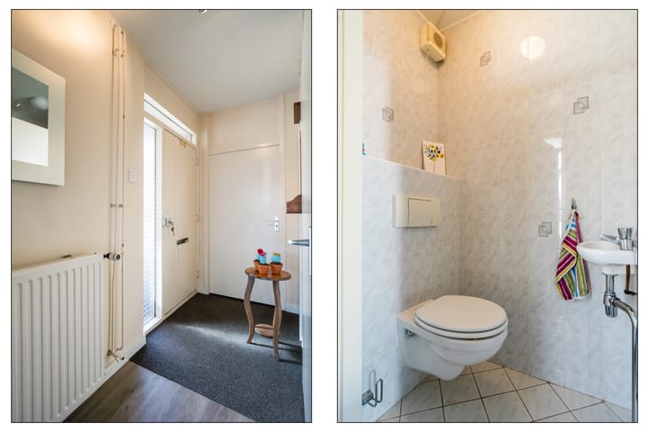 Photo 13 of Fazant 162