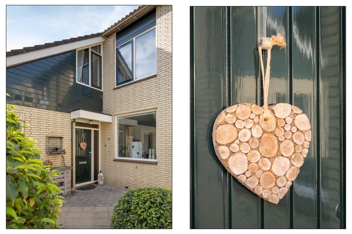 Photo 25 of Fazant 162