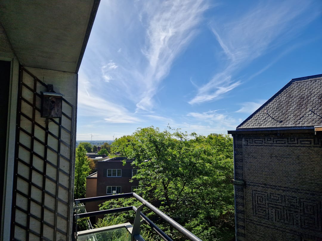 Foto 2 van Lovinklaan 69