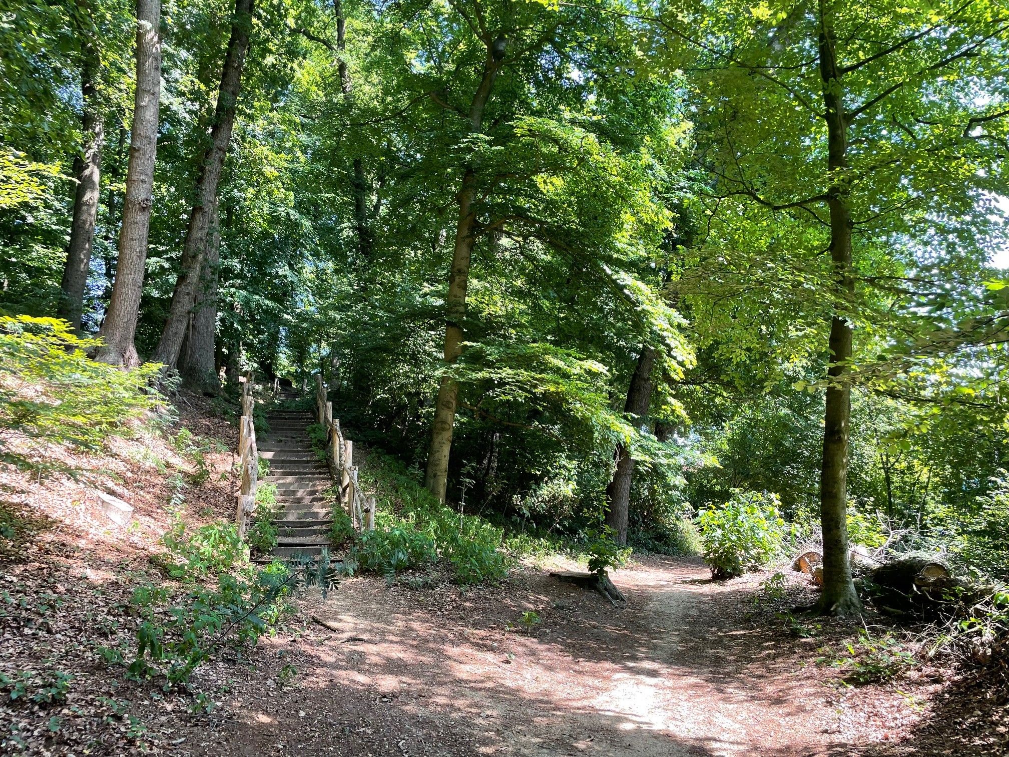 Foto 3 van Lovinklaan 69