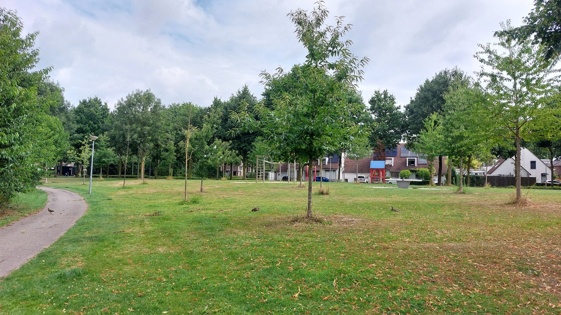 Photo 30 of Boterbloemstraat 7