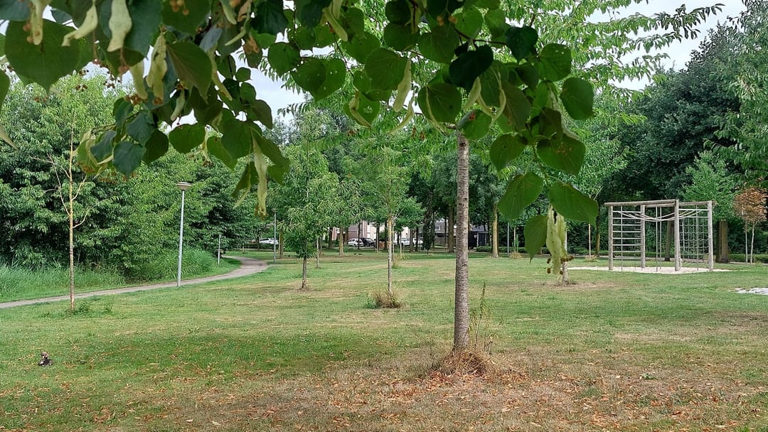 Photo 32 of Boterbloemstraat 7