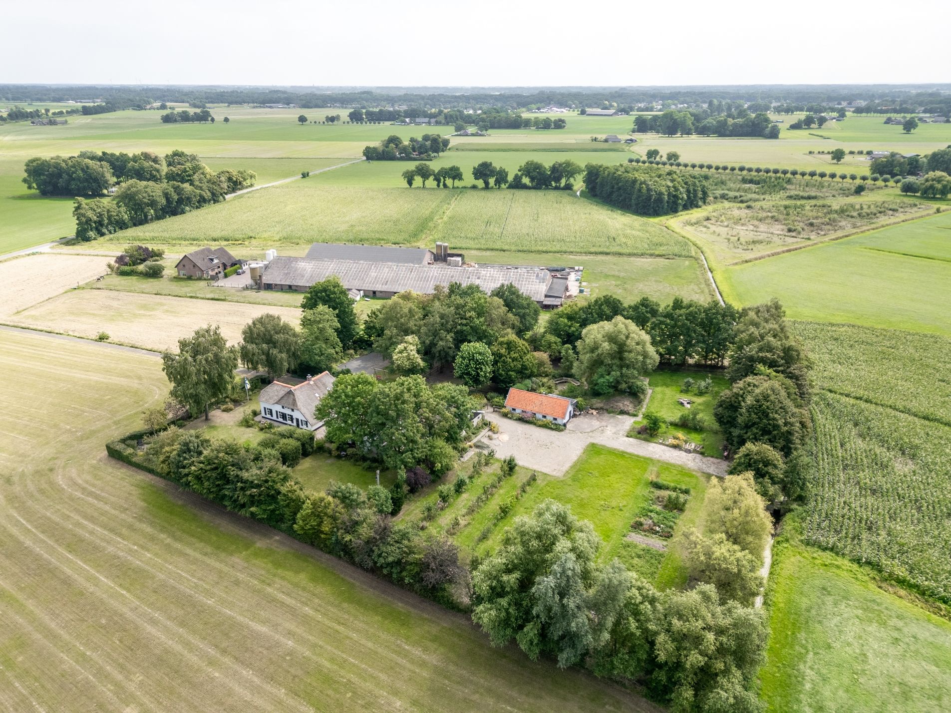 Photo 9 of Verlengde Broekstraat 8