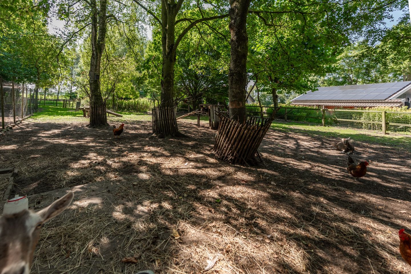 Photo 124 of Verlengde Broekstraat 8