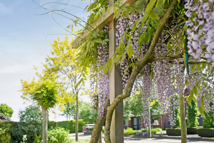 Foto 52 van De Widtstraat 15