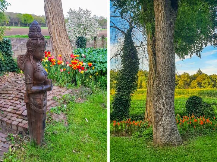 Foto 59 van Scheuterdijk 27