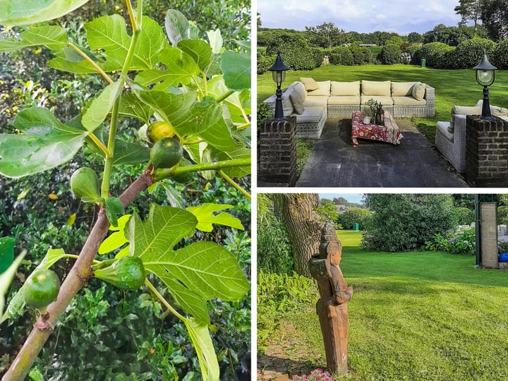 Foto 61 van Scheuterdijk 27