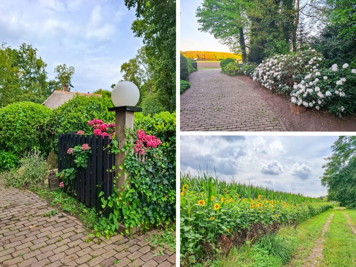 Foto 63 van Scheuterdijk 27