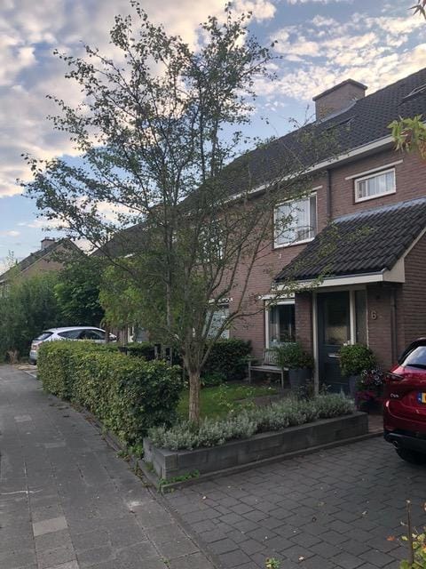 Foto 2 van Korenmolen 6