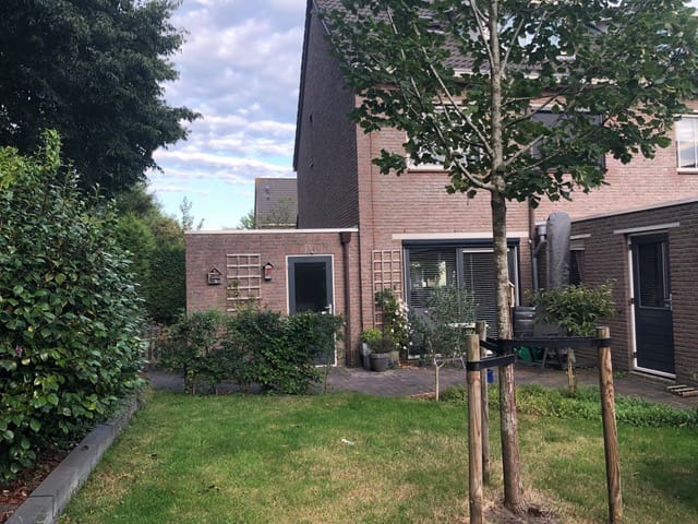 Foto 3 van Korenmolen 6