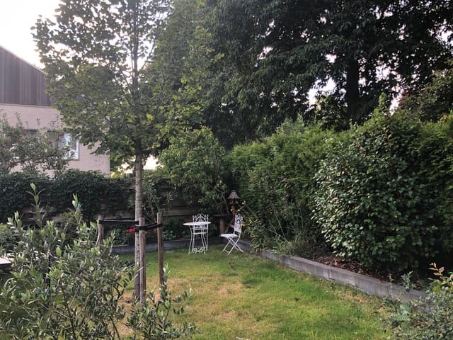 Foto 4 van Korenmolen 6