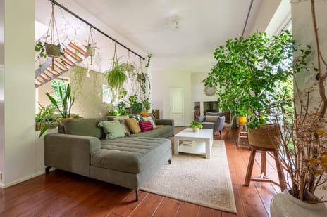 Spijkse Kweldijk 194 tertiary image