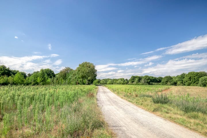 Foto 37 van Brucknerlaan 23