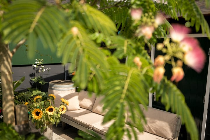 Photo 38 of Hemmerbuurt 46