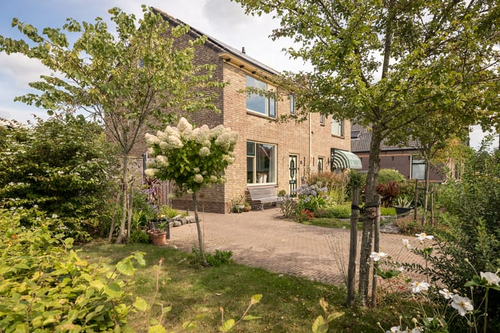 Hemmerbuurt 46 main image