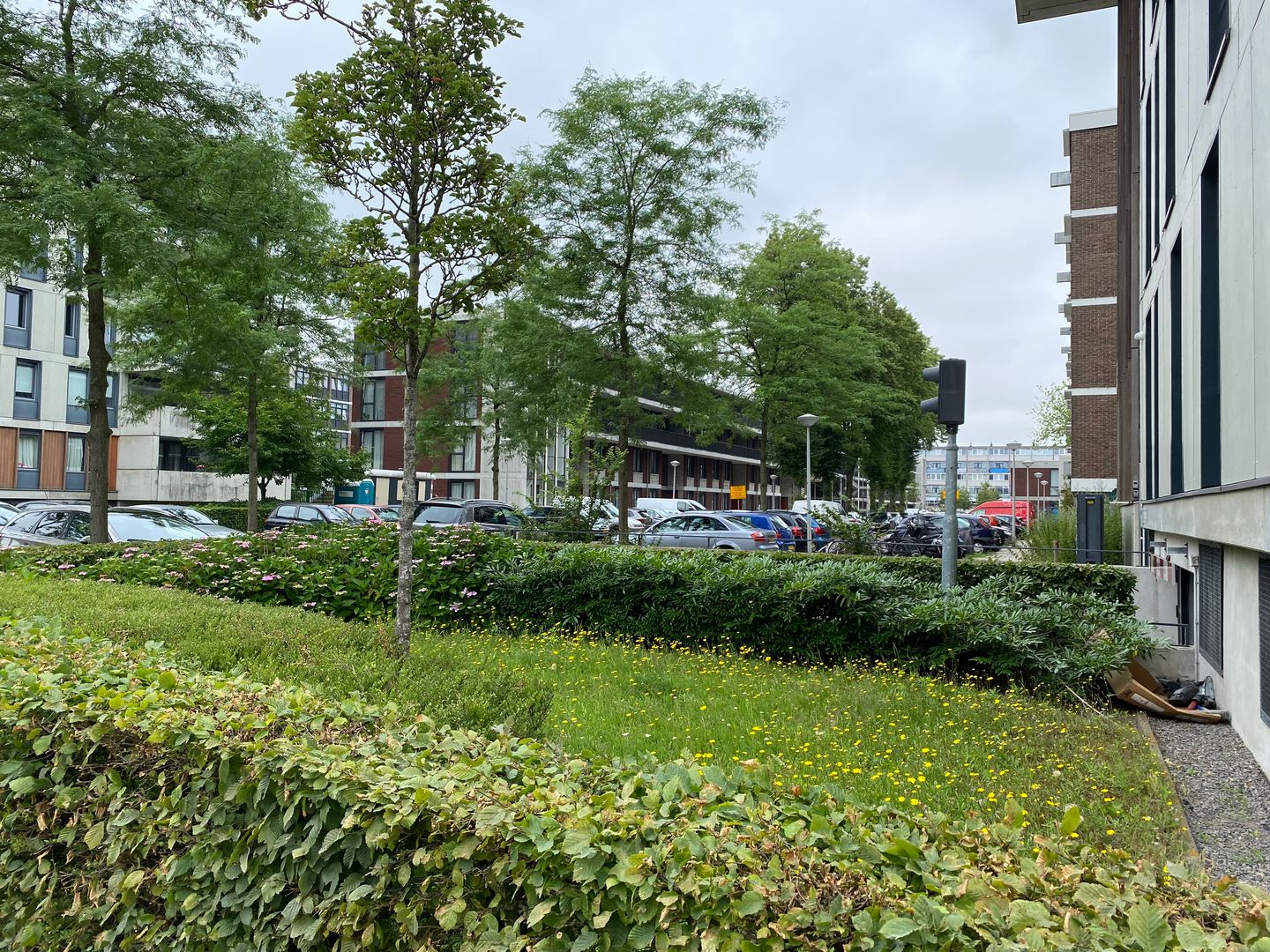 Photo 4 of Burgemeester Röellstraat 536