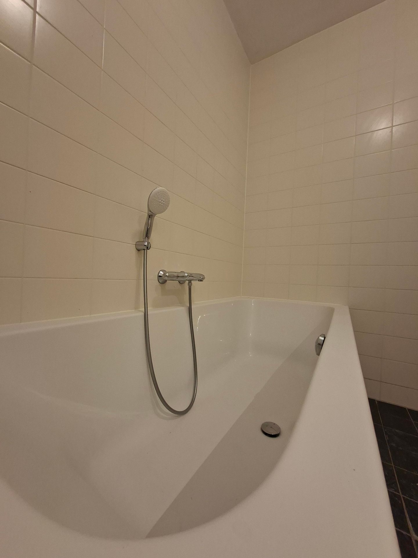 Foto 29 van IJdoornlaan 58-A1