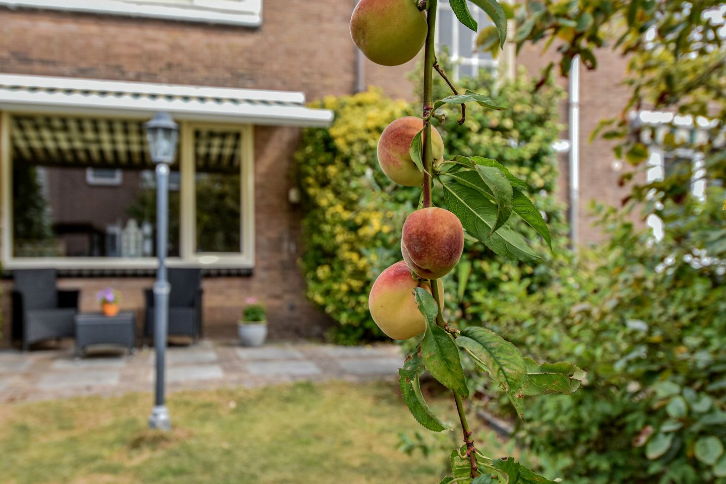 Foto 14 van Frederik van Eedenstraat 32