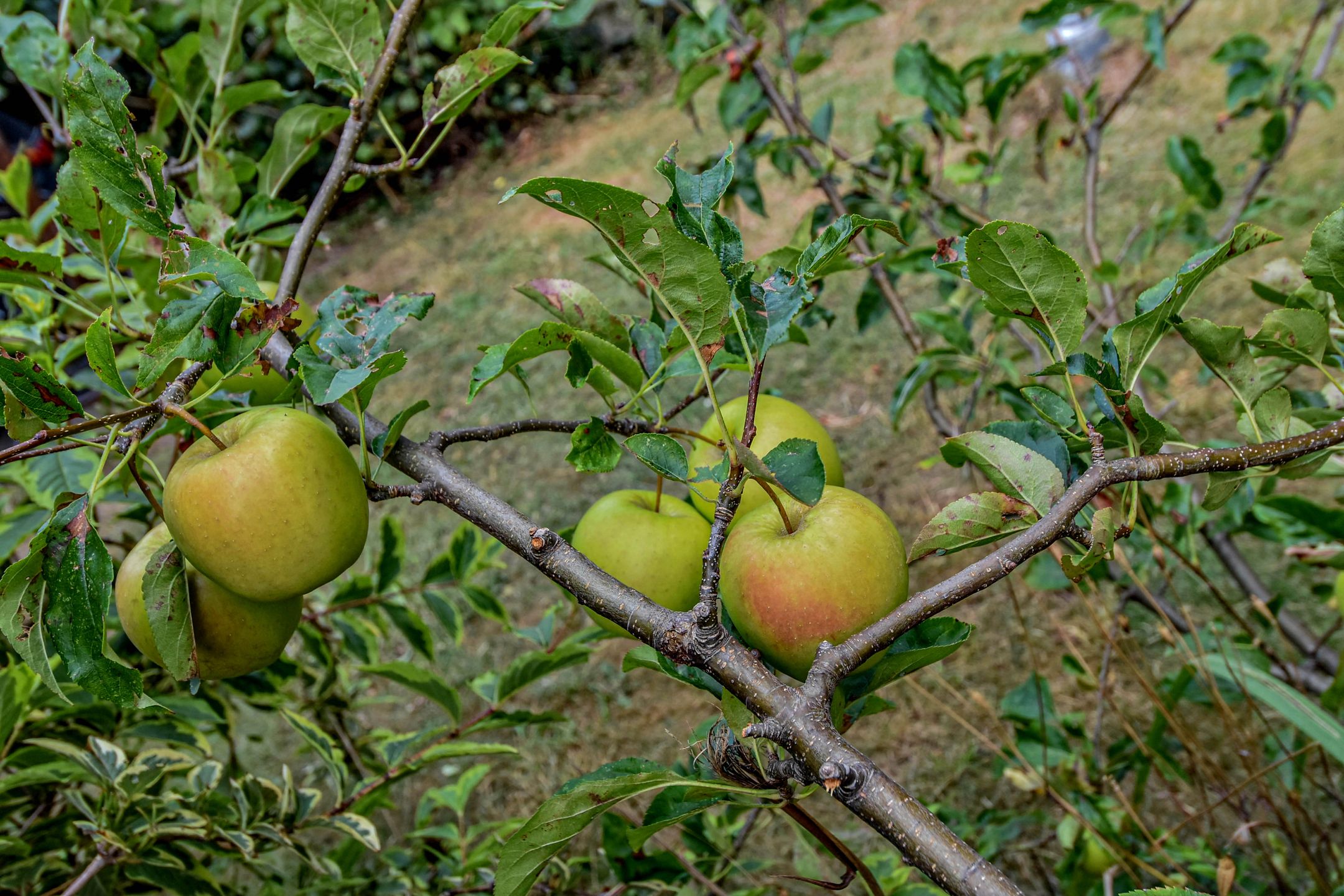 Foto 15 van Frederik van Eedenstraat 32