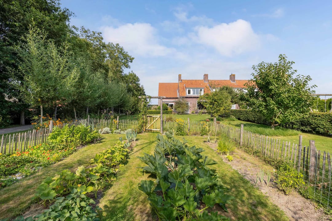 Foto 13 van Ruttensepad 8-D