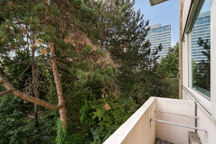 Foto 19 van Louis Bouwmeesterstraat 107