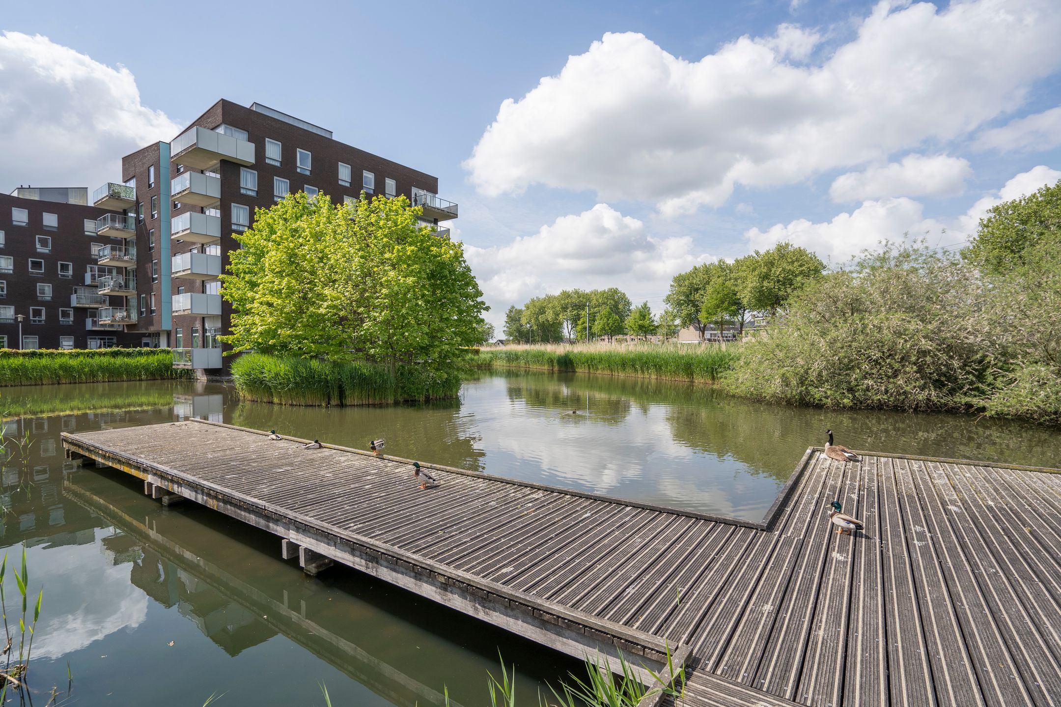 Foto 39 van Raadsliedenstraat 1