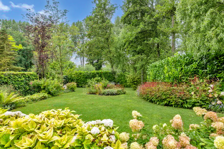 Foto 2 van Amerbachstraat 20