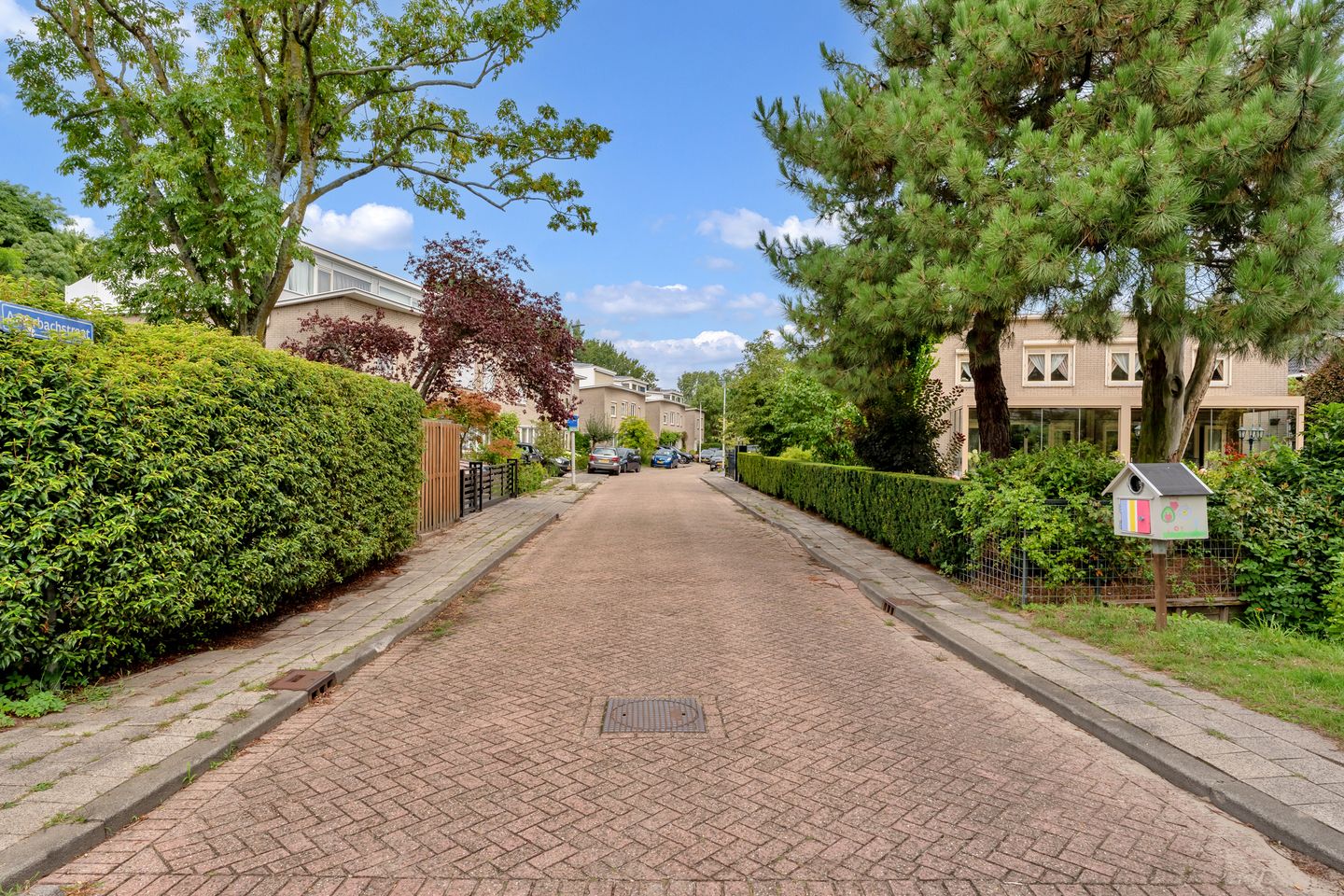 Foto 5 van Amerbachstraat 20