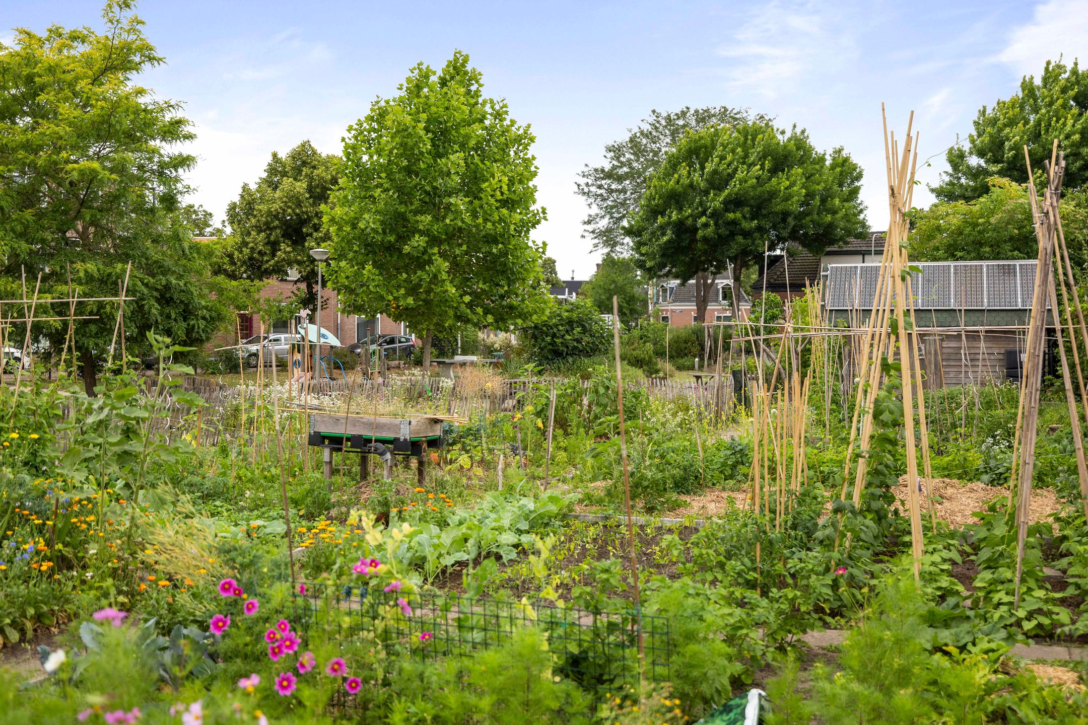 Photo 33 of Molenbelt 32