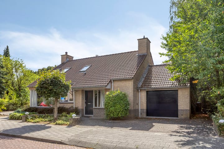 Foto 41 van Serlioweg 5