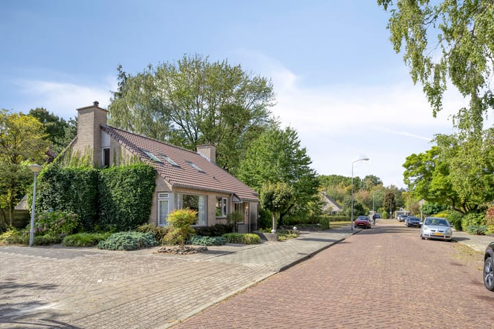 Foto 42 van Serlioweg 5