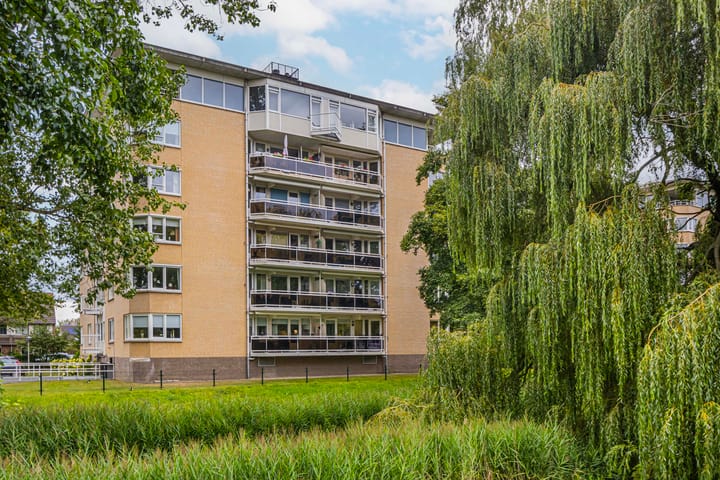 Foto 2 van De Gaullesingel 113