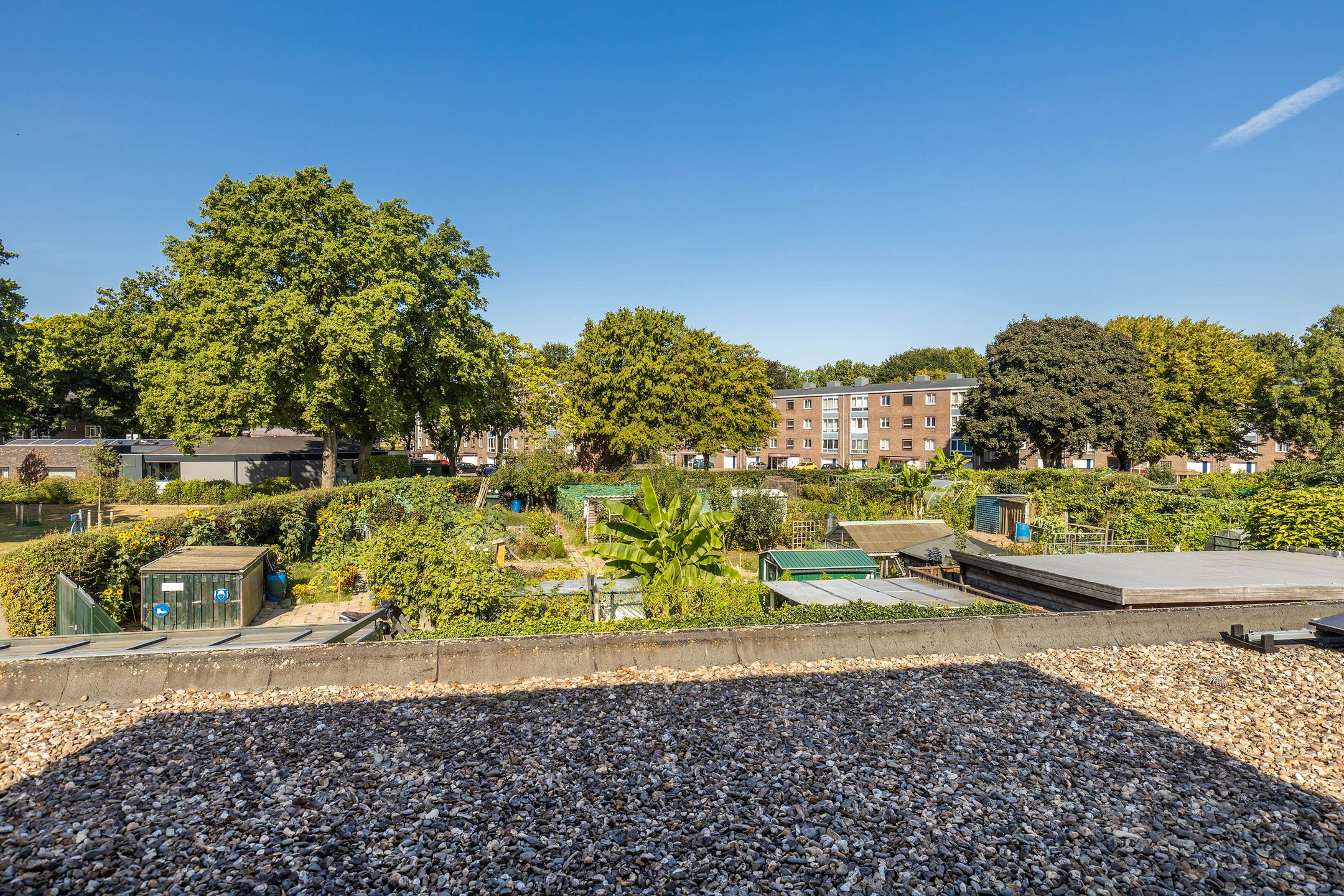 Foto 24 van Jacob van Maerlantlaan 8