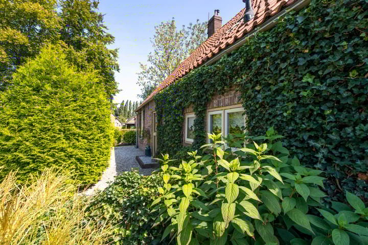 Foto 53 van Brugdam 2