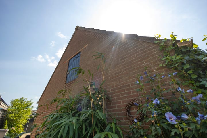 Foto 60 van Brugdam 2