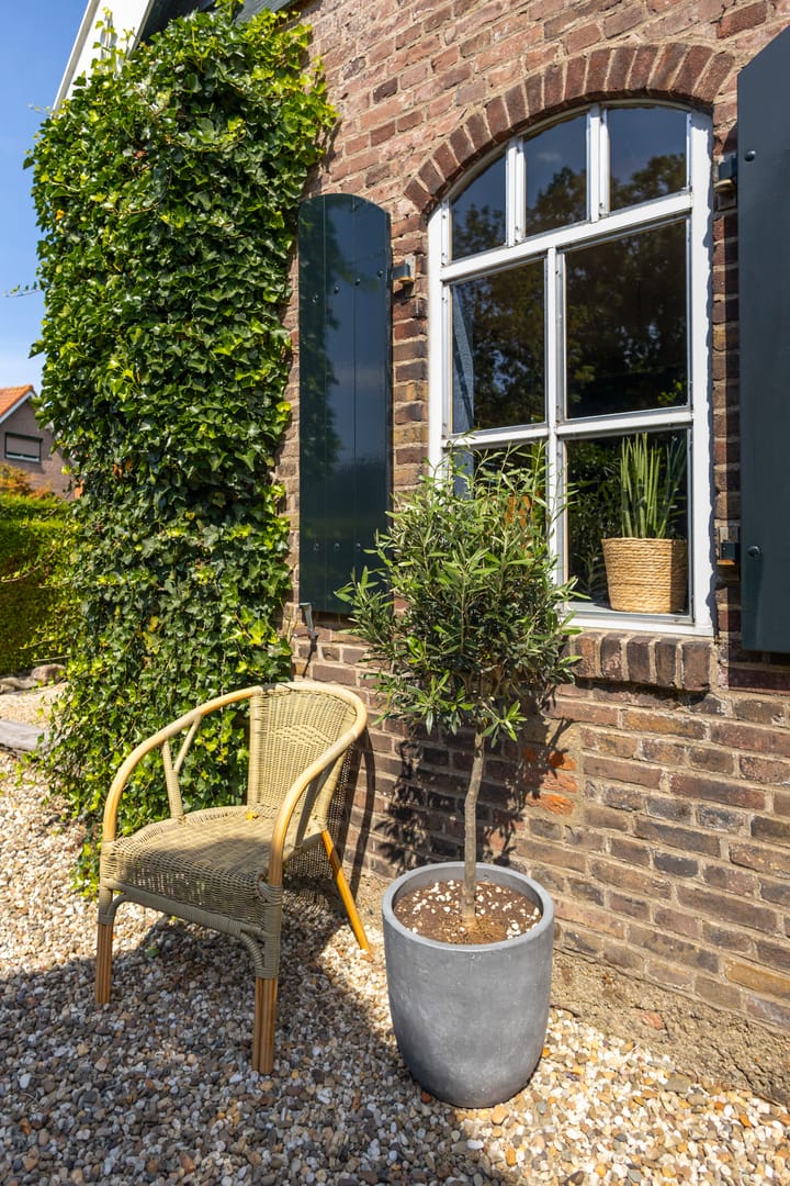 Foto 69 van Brugdam 2