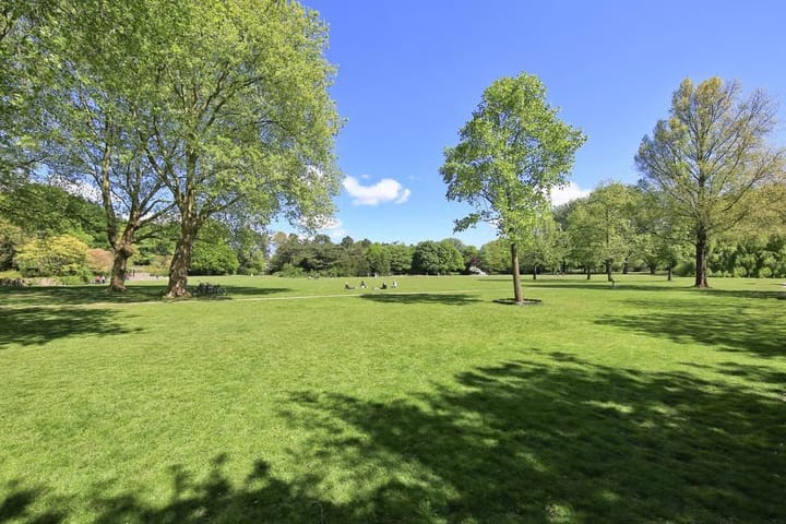 Foto 25 van Amazonenstraat 29-1