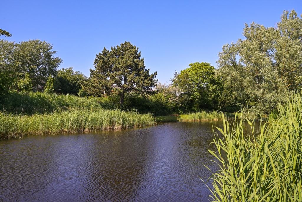 Foto 51 van Campanulastraat 81