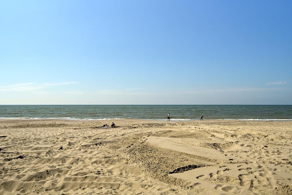 Foto 55 van Campanulastraat 81