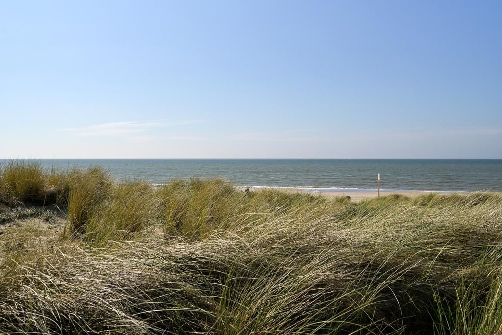 Foto 56 van Campanulastraat 81