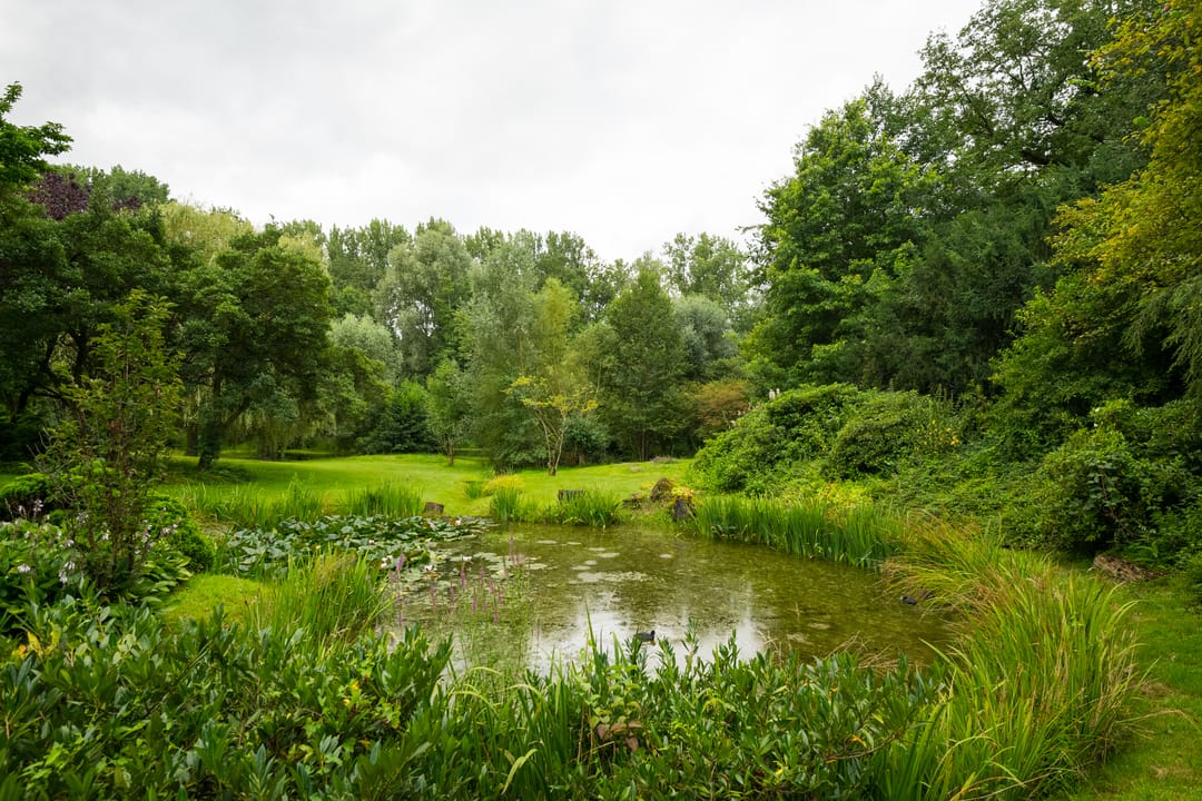 Photo 11 of Goossensweg 2