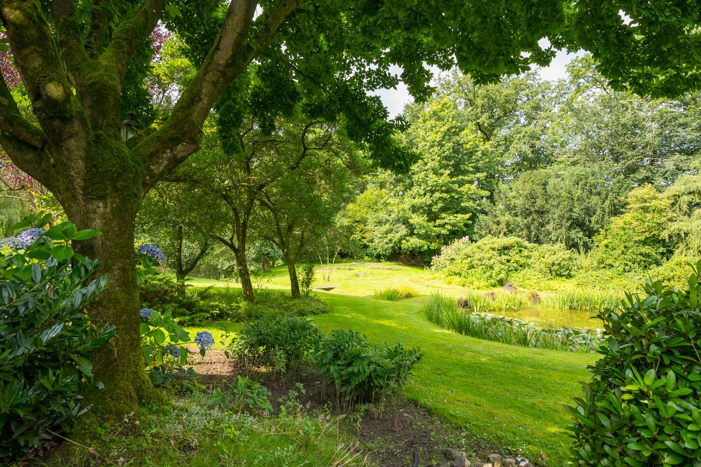Photo 19 of Goossensweg 2