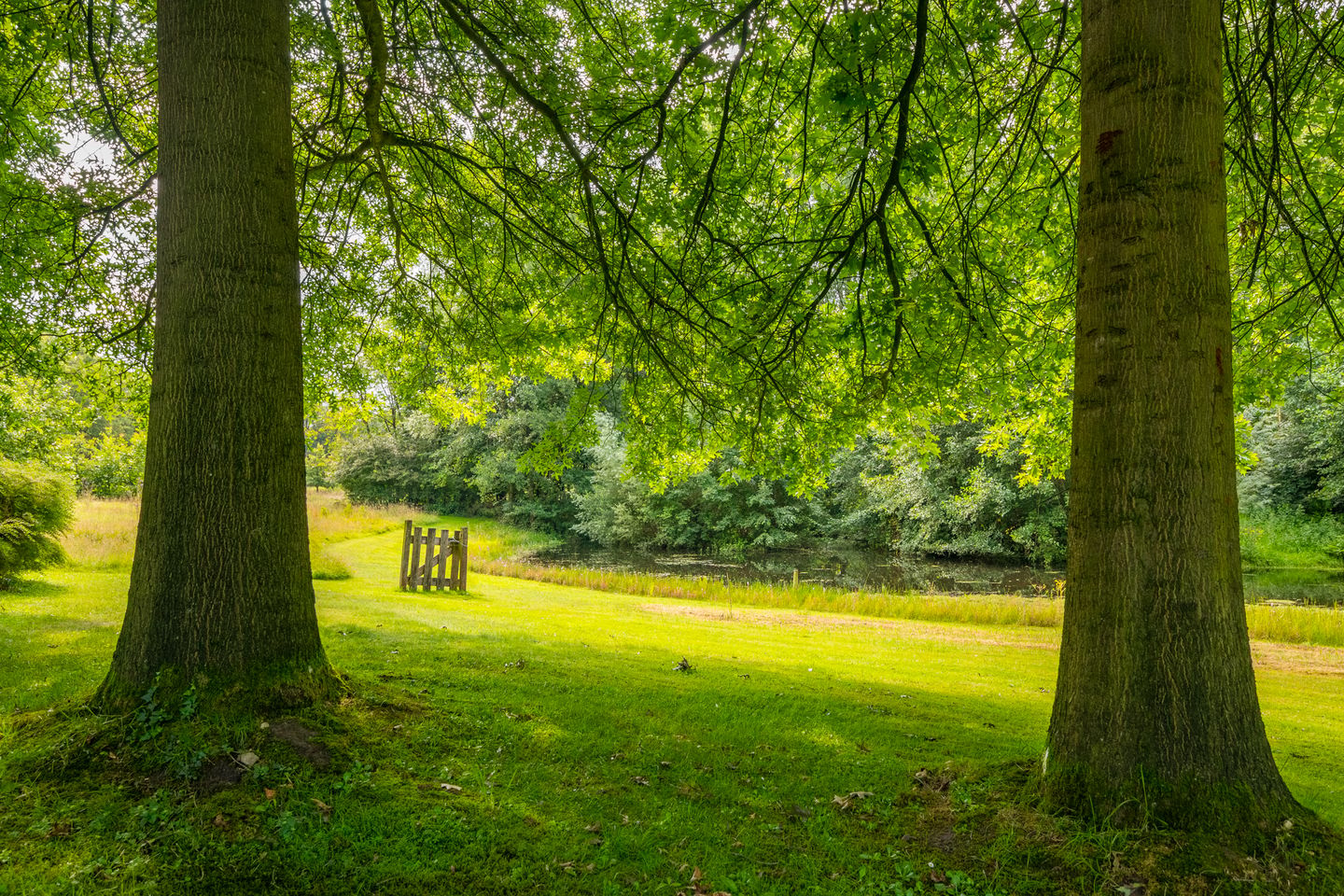 Photo 25 of Goossensweg 2