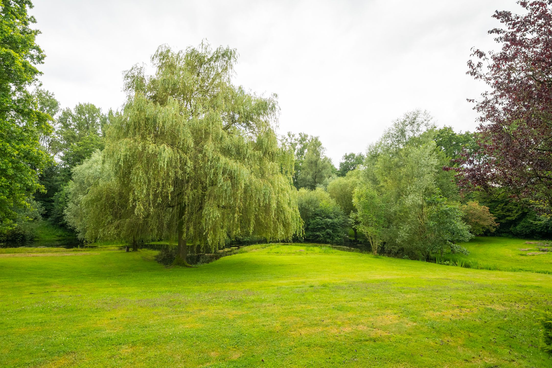 Photo 30 of Goossensweg 2