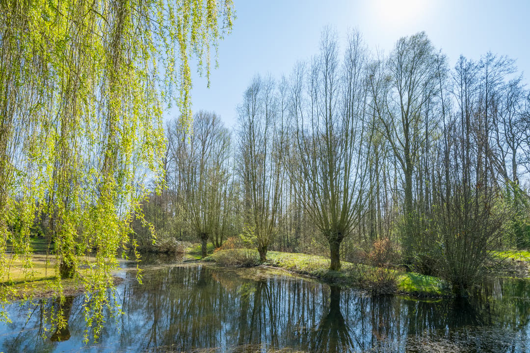 Photo 43 of Goossensweg 2