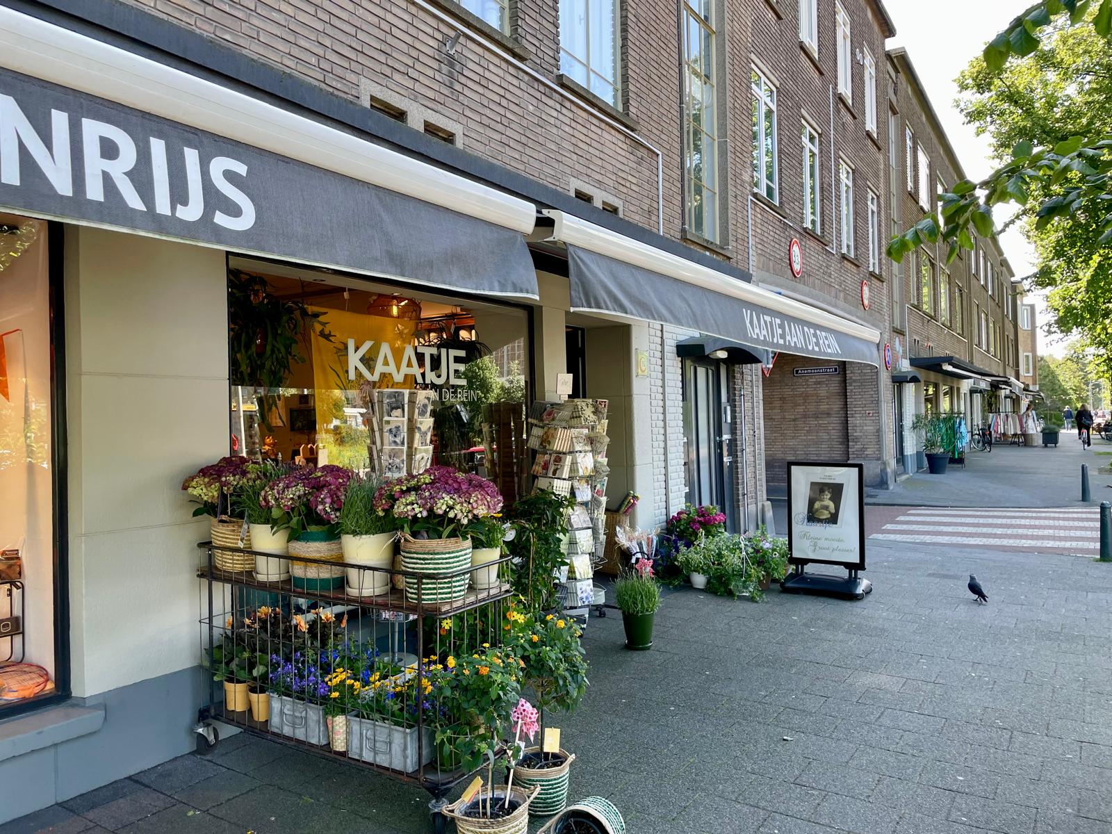 Foto 45 van Ranonkelstraat 345