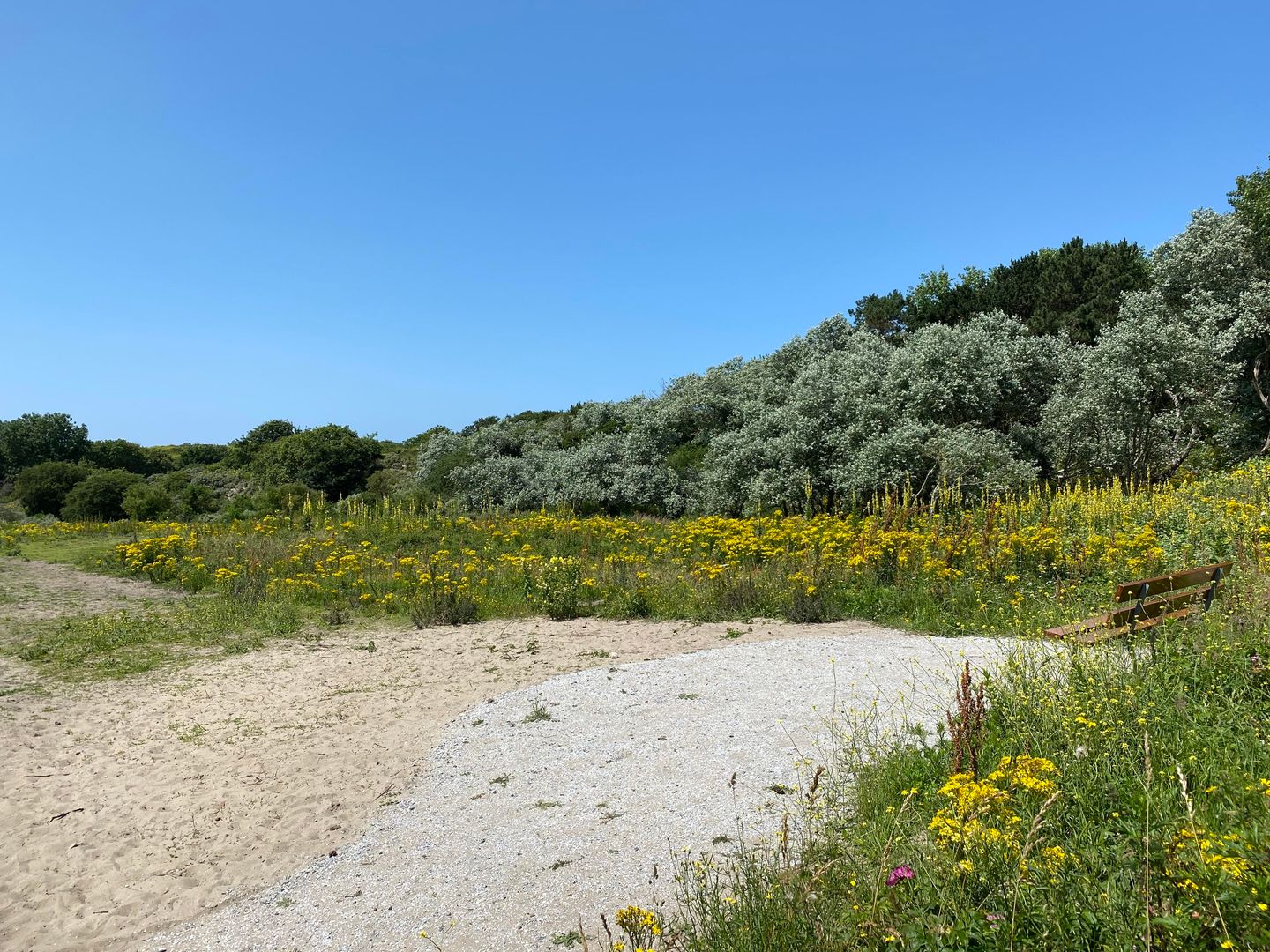 Foto 49 van Ranonkelstraat 345