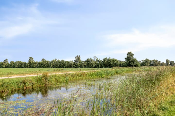 Photo 32 of Delling 18