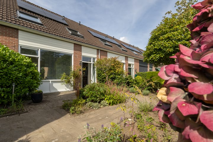 Foto 1 van Dingspil 8