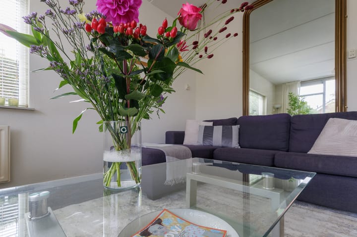 Foto 2 van Dingspil 8